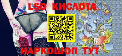 гашик Камышлов
