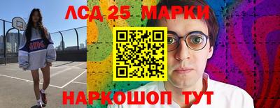 гашик Камышлов