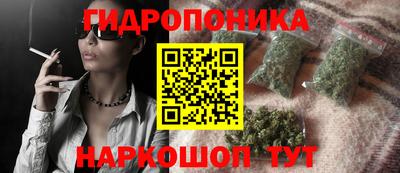 СК Канаш
