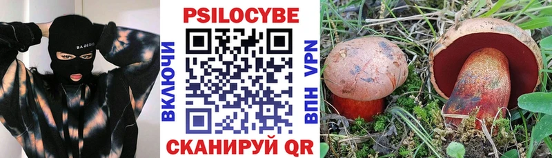 магазин продажи наркотиков  Мирный  Галлюциногенные грибы MAGIC MUSHROOMS 